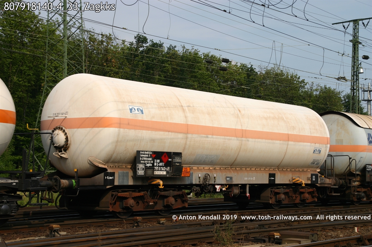 807918140-4_33_Zagkks.jpg